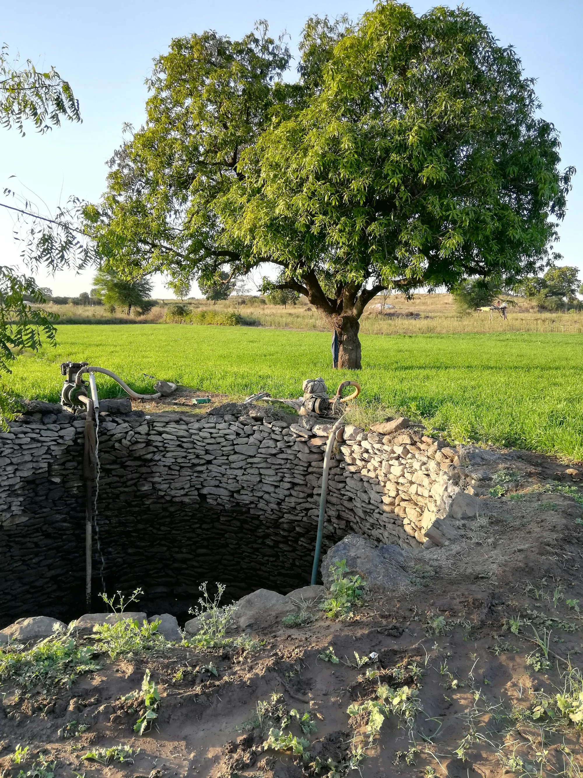 Old stone water well in a grassy field